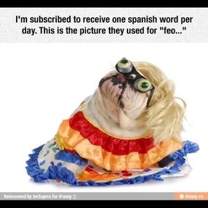 Meet your Posher, Matt